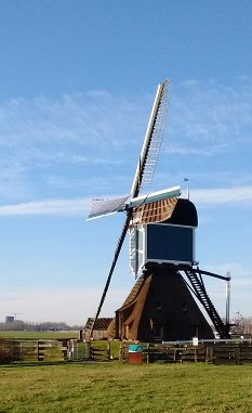 De Grote Molen bij het Molenpad